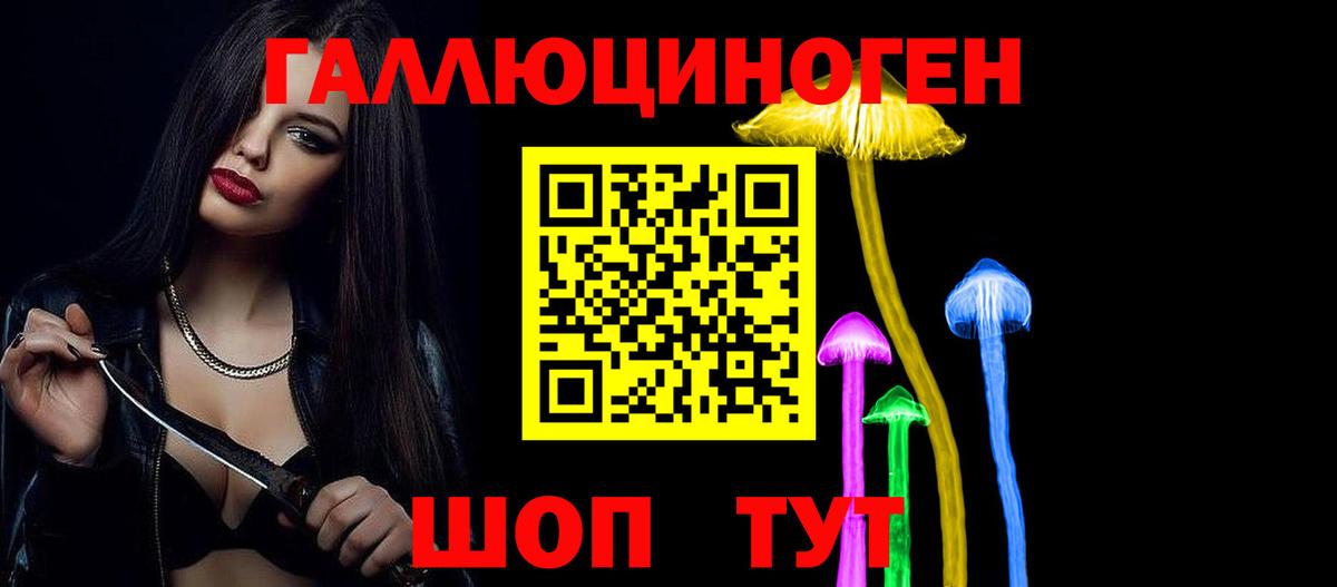 Галлюциногенные грибы Psilocybine cubensis Усолье-Сибирское